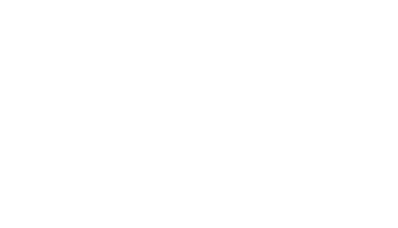 IT Destek